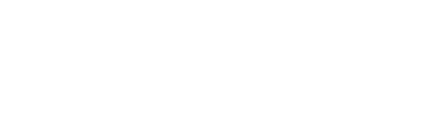 Fundacja Scout